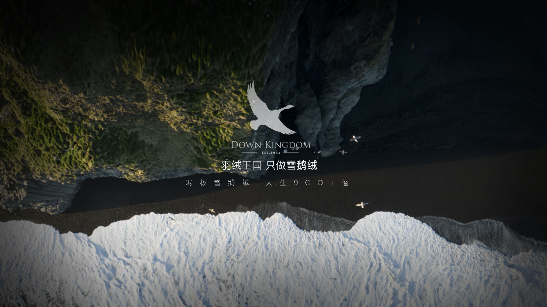 绒皇
